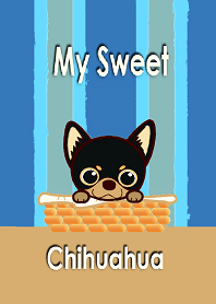 チワワの着せ替え