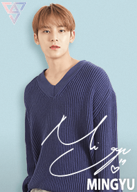 SEVENTEEN 着せかえ MINGYU ミンギュ