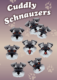 Schnauzer:dog