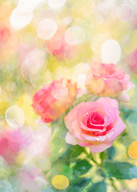 Beautiful rose flower(R2981)