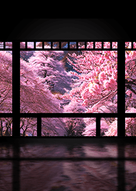 Spring Japanese garden[panorama]