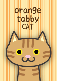 Orange tabby cat theme