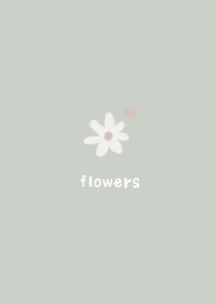 Flowes -daisy-