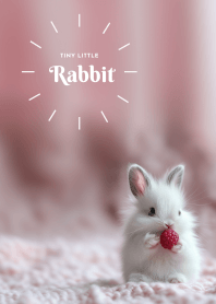 Tinny little rabbit 3-pu3