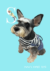 私はSです。（シュナウザー）