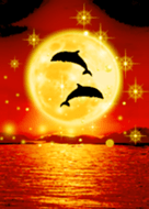 All The Luck Increases Moon Dolphin Line Theme Line Store
