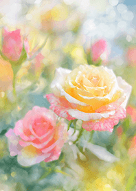 Beautiful rose flower(R2942)