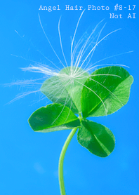 Angel Hair Photo #8-17Not AI