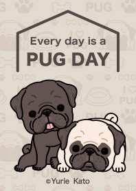 Every day is a PUG DAY