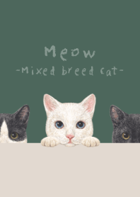 Meow-Mixed breed cat 02-DUSTY DARK GREEN