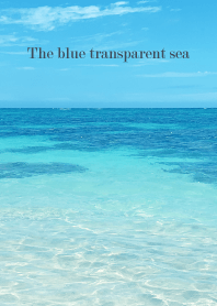The blue transparent sea - SHELL 24