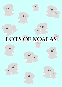 LOTS OF KOALAS/LIGHT BLUE