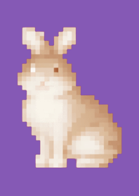 Rabbit Pixel Art Theme  Purple 01