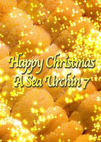 Happy Christmas A Sea Urchin 8