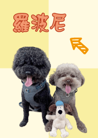 羅波尼