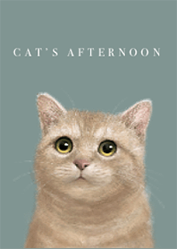 Cat's afternoon