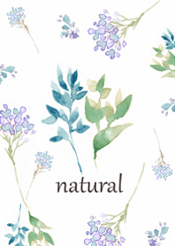 The World of Flowers in Watercolor6