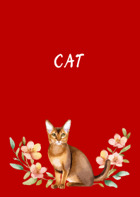 Abyssinian on red & beige