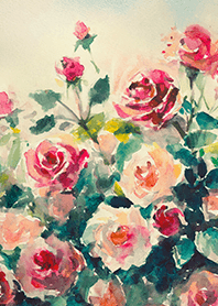 Beautiful rose flower(R4161)