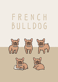 Doodle fawn french bulldog.