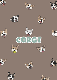corgicorgi6 - brown