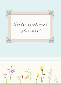 Little natural flowers