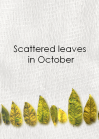 Scattered leaves in October