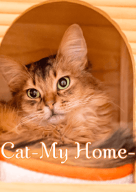 Cat-My Home-Ver.3