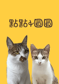 Theme of Two cats