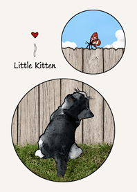 Little Kitten