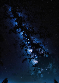 Mountain, Sea, and Moonlit Night 2C0C3A