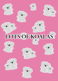LOTS OF KOALAS/DUSTY RED