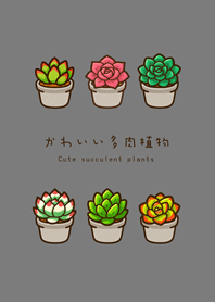 ต้นไม้อวบน้ำของฉัน(หมอกสีเทา)