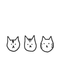 LOOSE CAT/TABBY