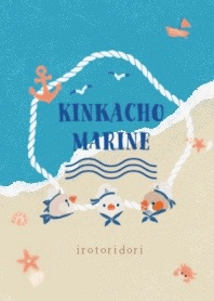 キンカチョウ ～マリン～