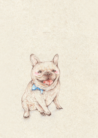 可愛的法鬥犬