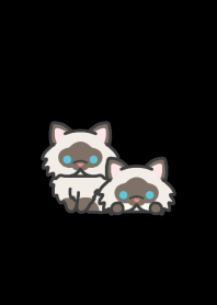 Himalayan*darkmode