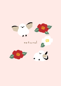 Long-tailed tit, camellia26 from Japan