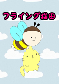 Flying cat rice field