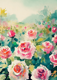 Beautiful rose flower(R4107)