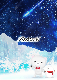 Tatsuki Polar bear winter night sky
