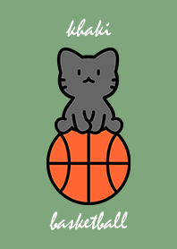 black cat sitting on a basketball khakiA
