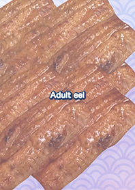 Adult eel