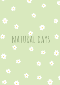 natural flower (ivory green)