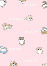 neko combo4 - pink