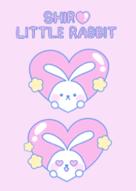Shiro little rabbit