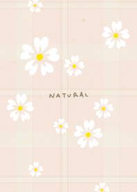 5 white petals28 from Japan