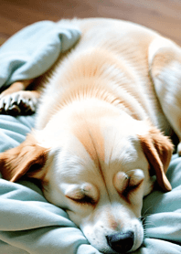 Bright Moon and Dawn B3c30a