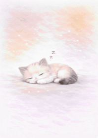 Kitten Pink Orange Afternoon