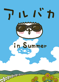 fool alpaca in Summer (Theme)